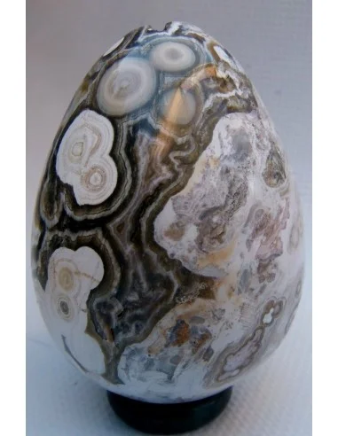 Oeuf jaspe orbiculaire  blanche mm
