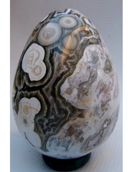 Oeuf jaspe orbiculaire  blanche mm Oeuf jaspe orbiculaire  blanche mm