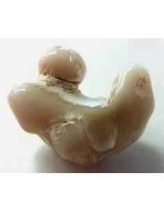 Agate peau de serpent 30 a 44g 2