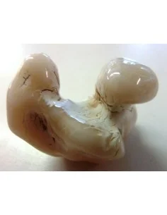 Agate peau de serpent 30 a 44g