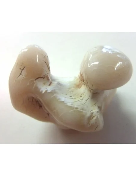 Agate peau de serpent 30 a 44g Agate peau de serpent 30 a 44g