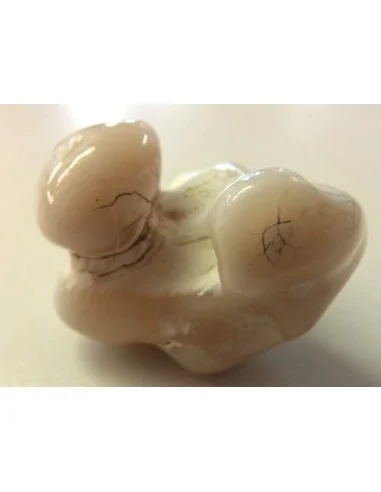 Agate peau de serpent 30 a 44g