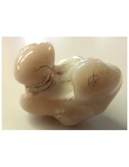 Agate peau de serpent 30 a 44g Agate peau de serpent 30 a 44g