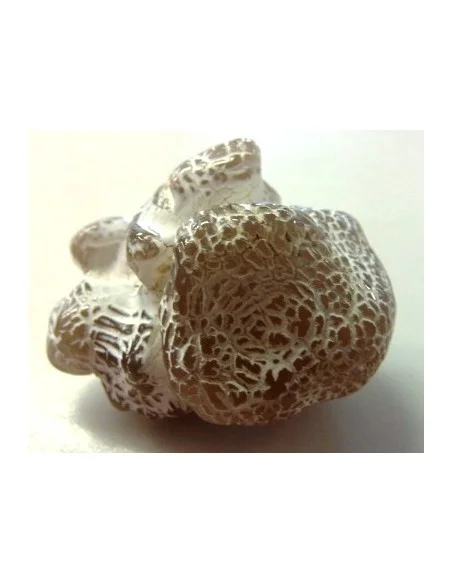 Agate peau de serpent 30 a 44g Agate peau de serpent 30 a 44g