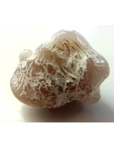 Agate peau de serpent 30 a 44g