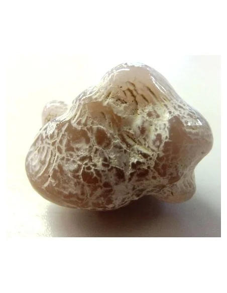 Agate peau de serpent 30 a 44g Agate peau de serpent 30 a 44g