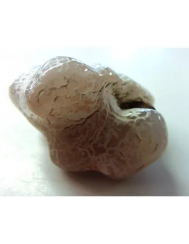 Agate peau de serpent 30 a 44g