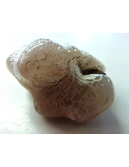 Agate peau de serpent 30 a 44g Agate peau de serpent 30 a 44g