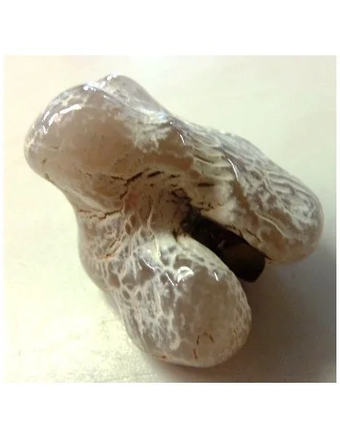 Agate peau de serpent 30 a 44g