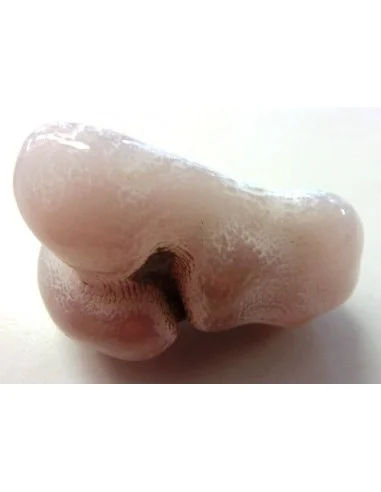 Agate peau de serpent 30 a 44g