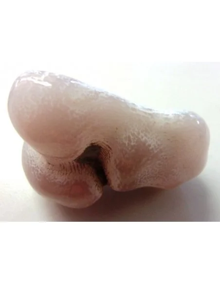Agate peau de serpent 30 a 44g Agate peau de serpent 30 a 44g