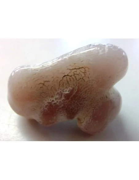 Agate peau de serpent 30 a 44g Agate peau de serpent 30 a 44g