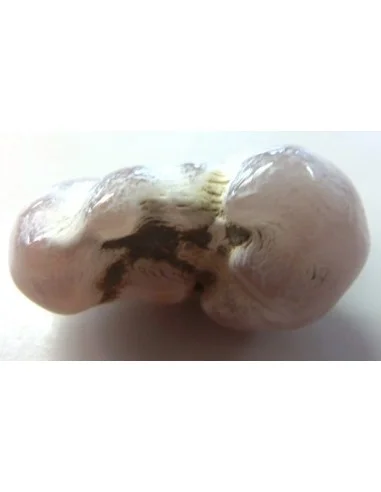 Agate peau de serpent 30 a 44g