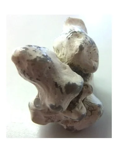 Agate peau de serpent 30 a 44g