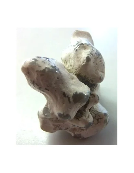 Agate peau de serpent 30 a 44g Agate peau de serpent 30 a 44g