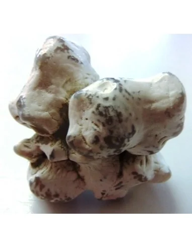 Agate peau de serpent 30 a 44g