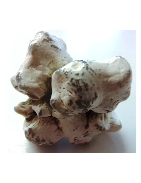 Agate peau de serpent 30 a 44g Agate peau de serpent 30 a 44g