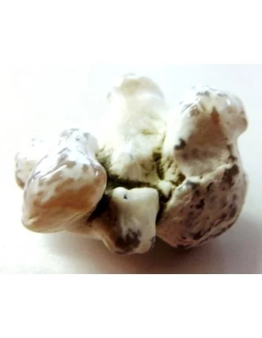 Agate peau de serpent 30 a 44g