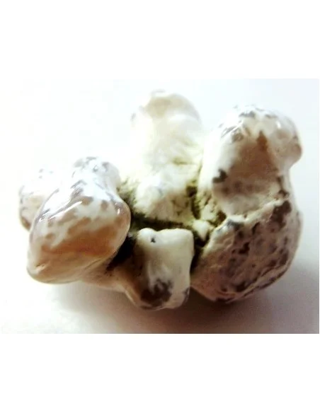 Agate peau de serpent 30 a 44g Agate peau de serpent 30 a 44g