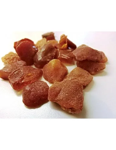 Ambre brute Lituanie