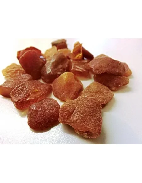 Ambre brute Lituanie