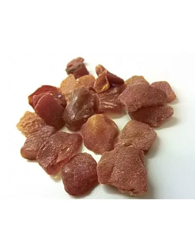 Ambre brute Lituanie