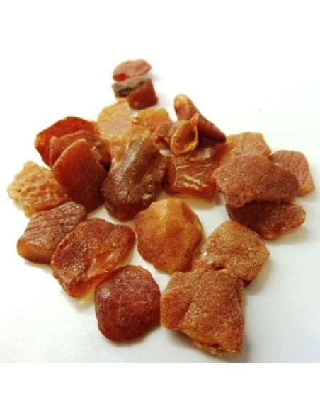 Ambre brute Lituanie