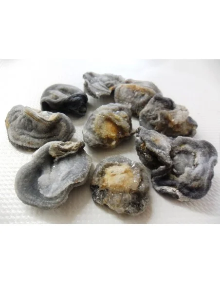 Agate rosette Agate rosette