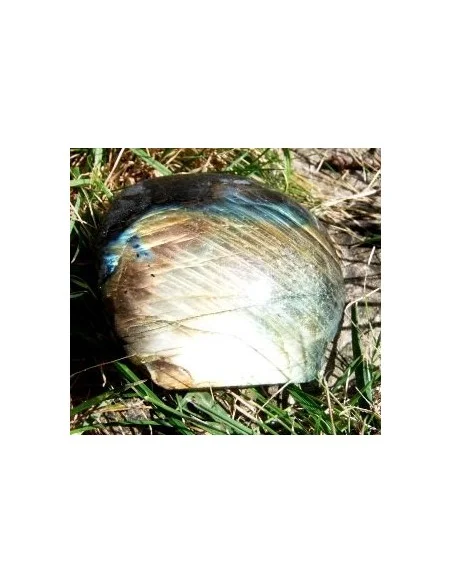 Labradorite semi polis 116 a 280g