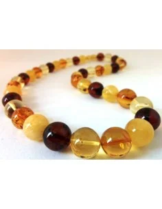 Collier Ambre 10 à 12mm