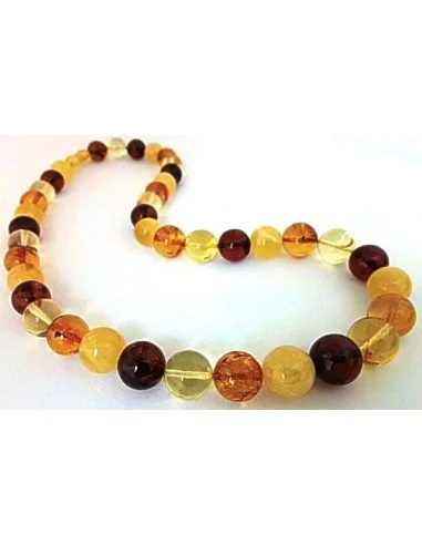 Collier Ambre 10 à 12mm