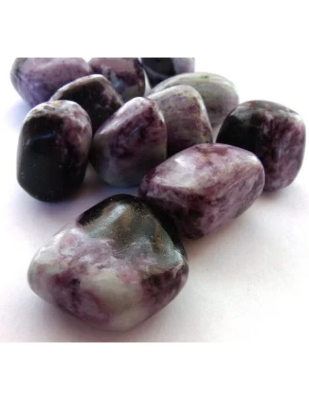 Kammererite polis Kammererite polis