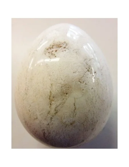 Oeuf opale blanc Oeuf opale blanc