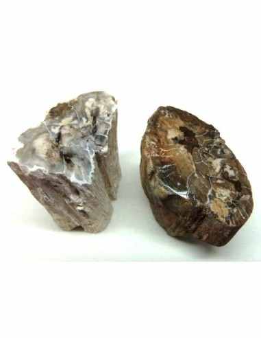 Bois fossilisé bases polis 22 a 42g