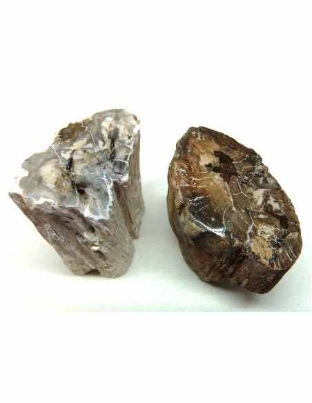 Bois fossilisé bases polis 22 a 42g