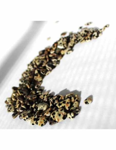 Jaspe Dalmatienne petite pierre  0,8 a 1g
