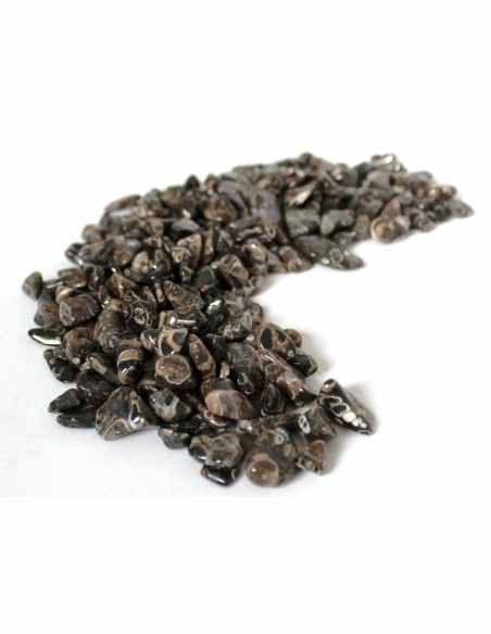 Jaspe aux turitelles polis