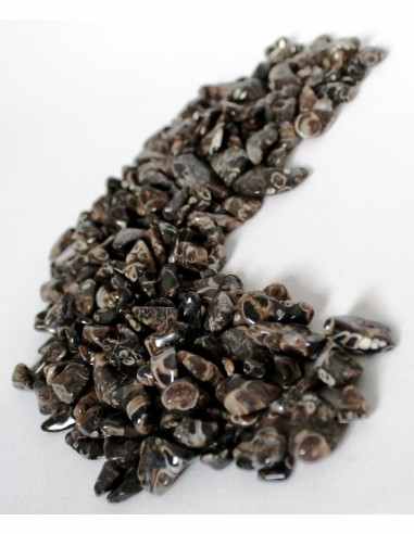 Jaspe aux turitelles polis