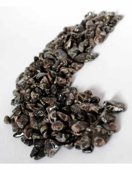 Jaspe aux turitelles polis