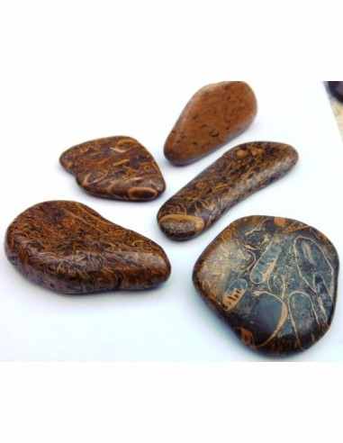 Jaspe fossiles, langenJaspis