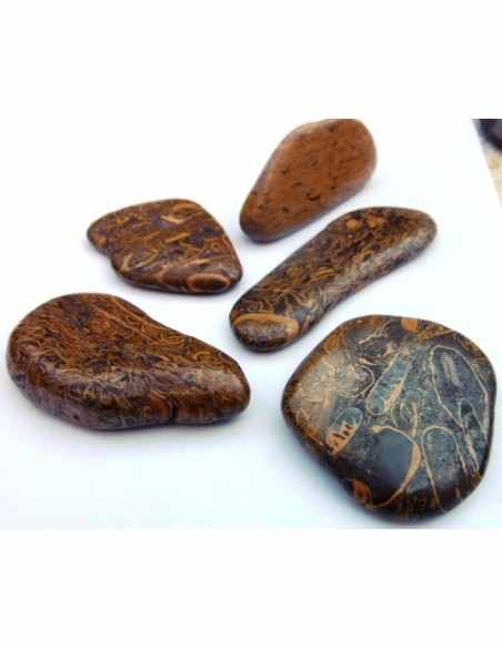 Jaspe fossiles, langenJaspis Jaspe fossiles, langenJaspis