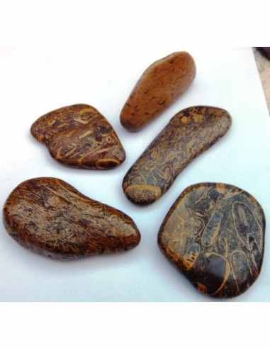 Jaspe fossiles, langenJaspis