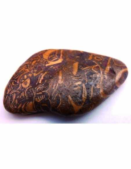 Jaspe fossiles, langenJaspis Jaspe fossiles, langenJaspis