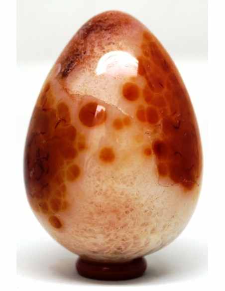 Cornaline oeuf Cornaline oeuf