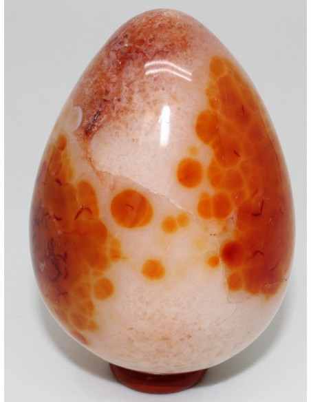 Cornaline oeuf Cornaline oeuf