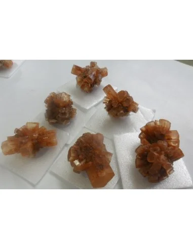 Aragonite cristalisée