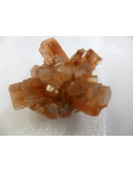 Aragonite cristalisée