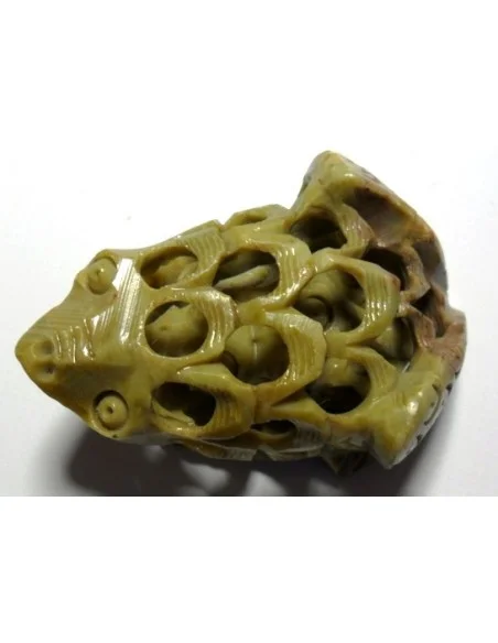 Grenouille Feng-shui porte bonheur