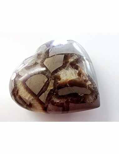Coeur en septarian