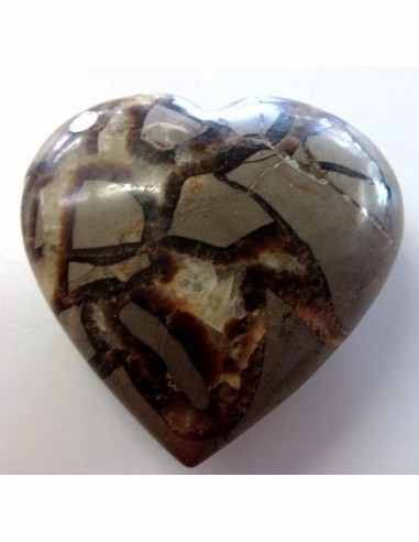 Coeur en septarian